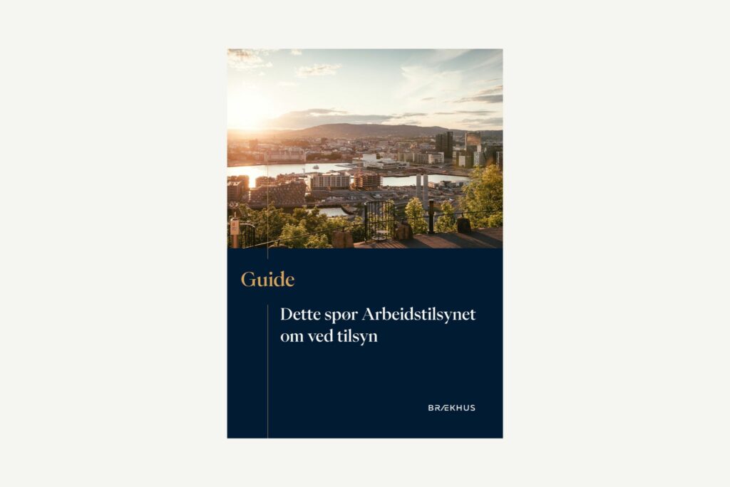 Dette spør Arbeidstilsynet om ved tilsyn