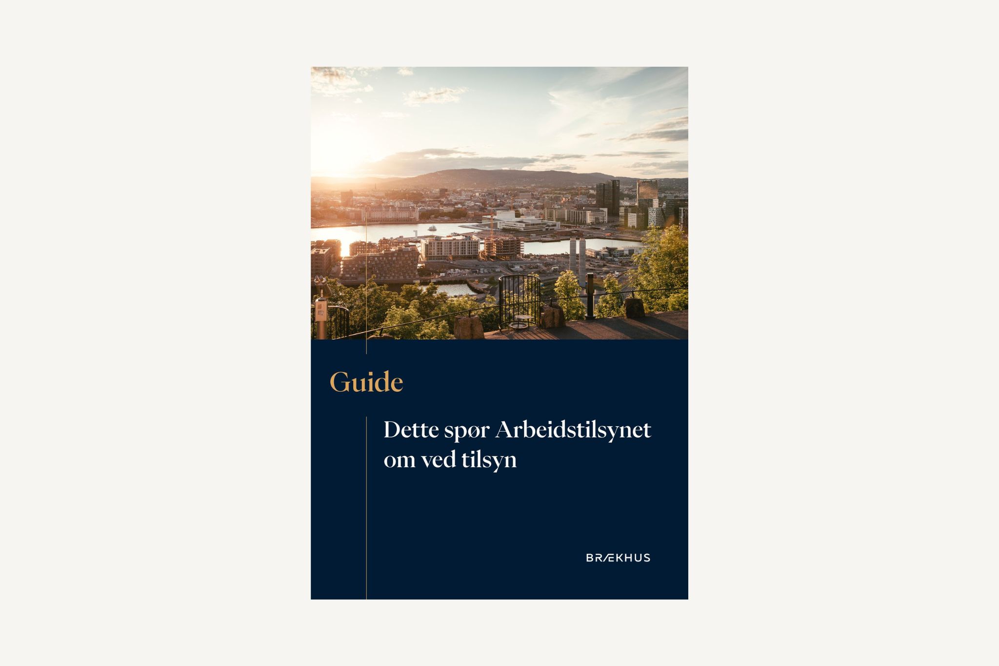 Dette spør Arbeidstilsynet om ved tilsyn